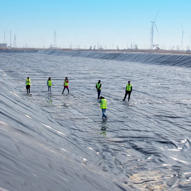 Wholesale High Quality China Factory 1.5mm 2mm Geomembrane HDPE
