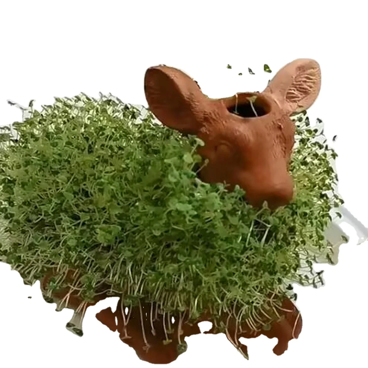2024 New product Chia Pet Novelty Plant Gift OEM DIY decorative Pottery Chia Pets
