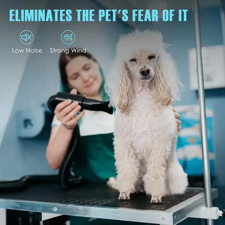 Pet Hair Dryer with Stepless Speed and Heat Dog Blow Dryer with 4 Different Nozzles 2000W 2200W 2400W 2800W 3200W