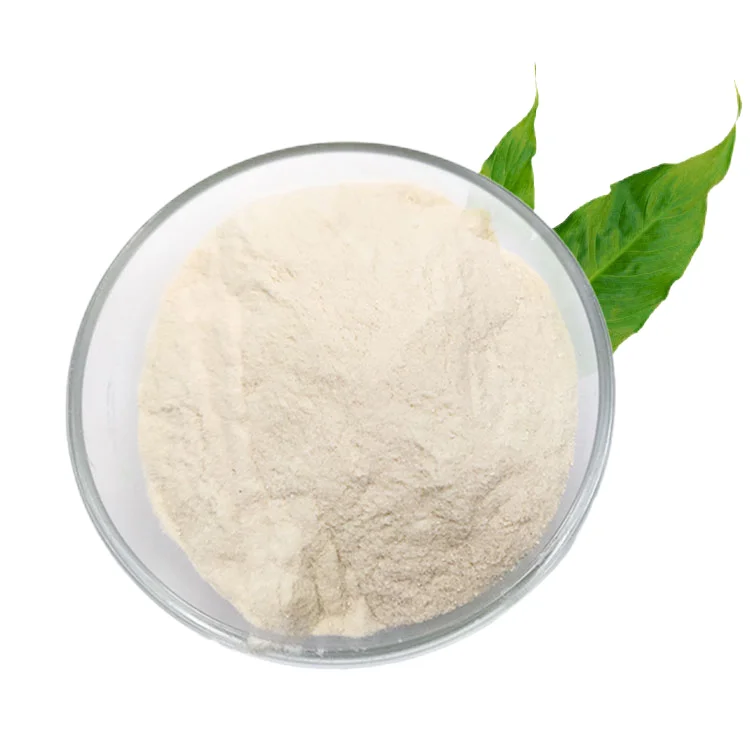 Cosmetic Raw Material Food Grade Thickener Agent 80 Mesh 200 Mesh food grade Xanthan Gum for food and beverage cas 1