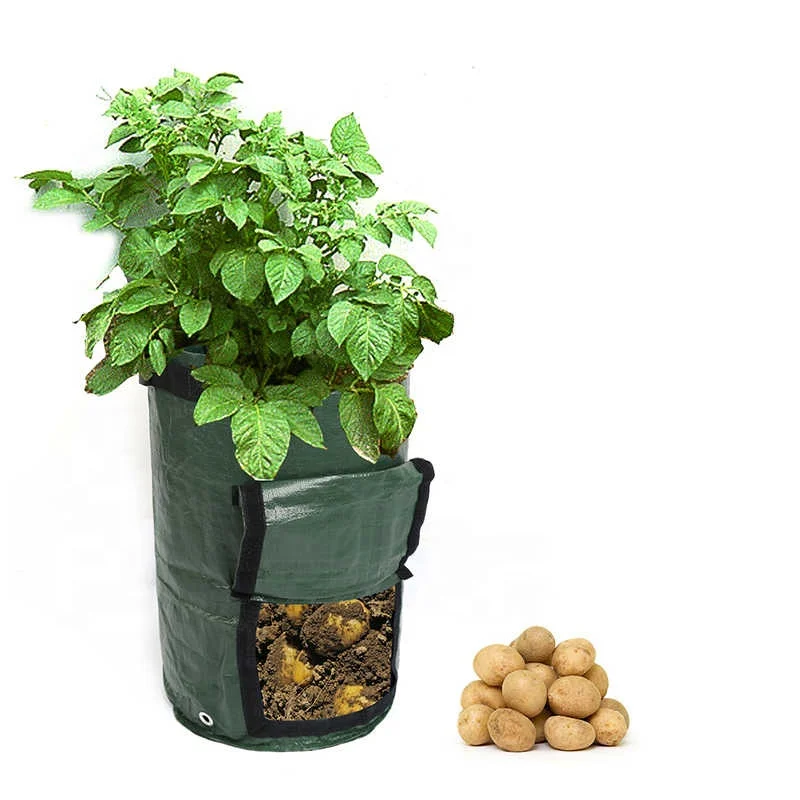 Wholesale Non-woven Nursery Garden Potato Tomato plant bag /garden planting bags/geotextile planting grow bags