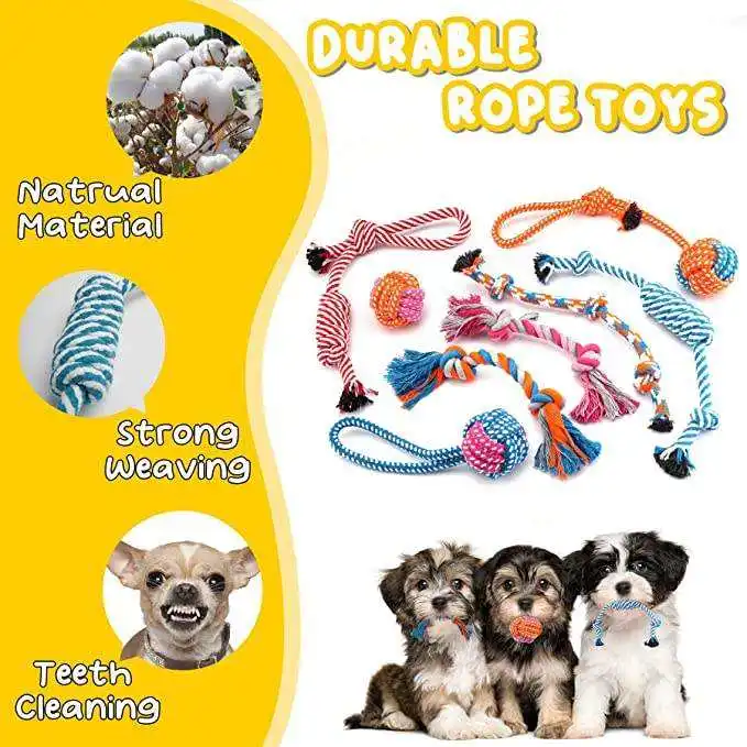 Qbellpet 2024 Custom 18 Pack Teeth Cleaning Aggressive Chew Dog Toy Set Heavy Duty Squeaky Interactive Dog Toys Pet Accessories