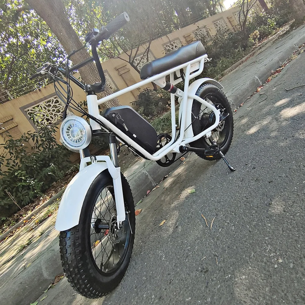 Long endurance YANSAN Central Motor Electric Bicycle Mid Drive Ebike Light Weight MTB Mountain Bike for Men