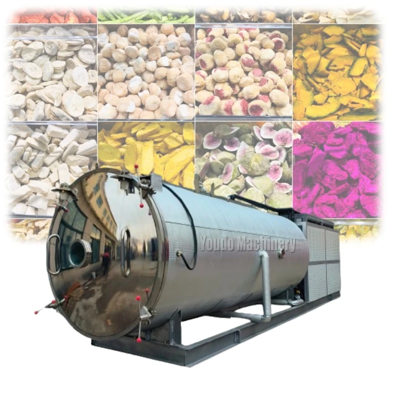 Industrial Freeze Drying Machine Available in 5㎡ 10㎡ 20㎡ 30㎡ and 60㎡ for Fruits Vegetables and Pet Food Processing