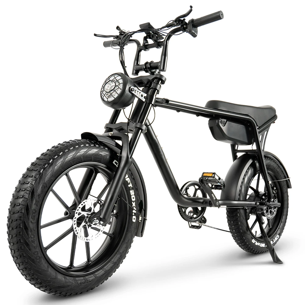 TOODI K20 750/1000W Power Motor Superior Electric Bike Highly Cost Effective Electric Mountain Bike