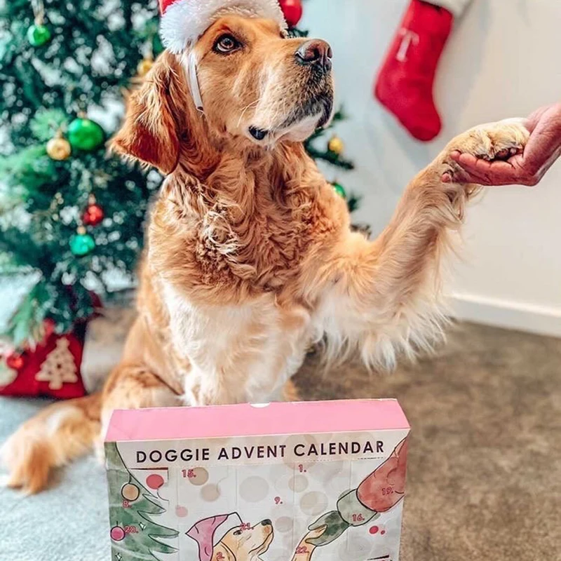 Custom Printed Cardboard Paper Empty Dog Christmas Advent Calendars For Dogs