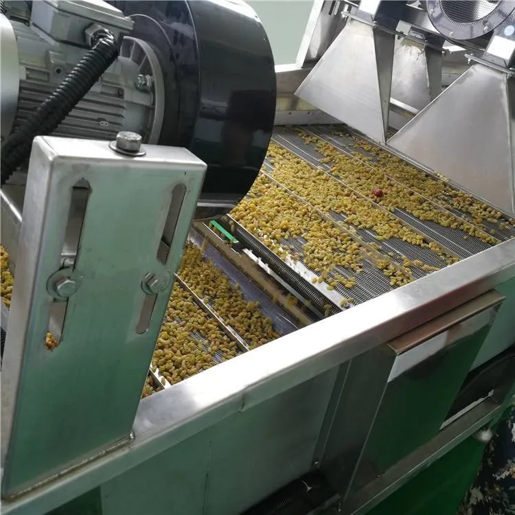 Full automatic 2000 kg raisin polishing machine raisin process line for food handling