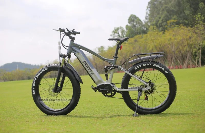 48V 15Ah Lithium Battery Electric Fat Bike 1000W Weldless Aluminum Frame Powerul E Bike