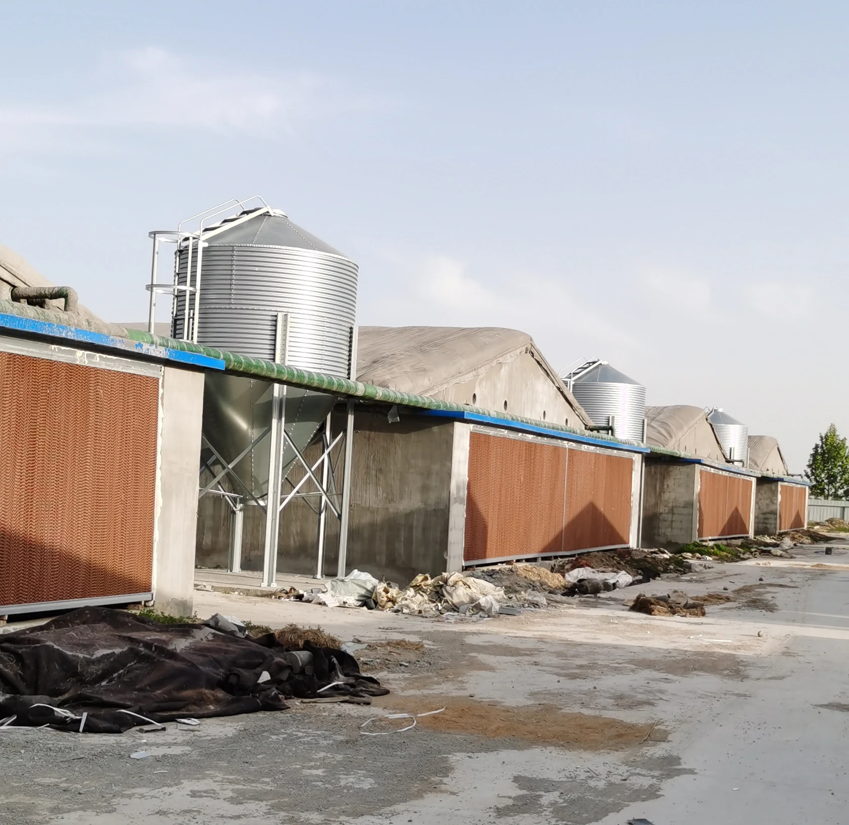 large capacity pig/chicken hot-dip galvanized auger feeding silo tank poultry swine house equipment feeding bin tower 25T Silo