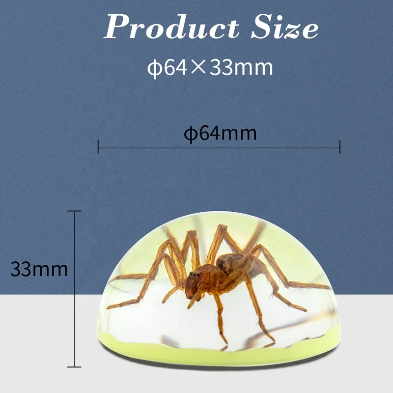 natural real spider insects animals resin desk decor hemisphere dome shape luminous custom ornaments insects resin crafts