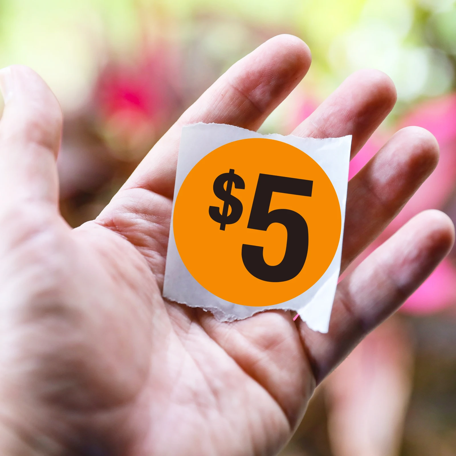 Bright Orange $ Price Stickers - Perfect for Personal Use, Convenience Stores, Supermarkets, and Retail Outlets