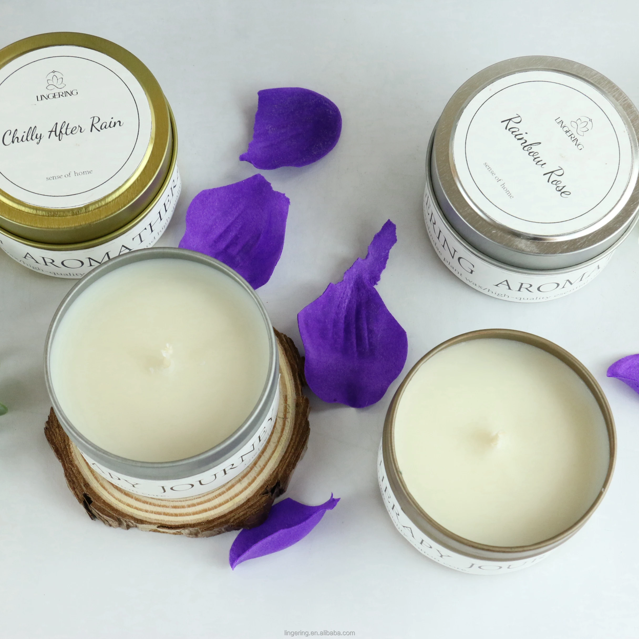 Wholesale Luxury Wedding Gifts Travel Tin Scented Candles Custom Plant Essential Oil Filling Aromatherapy
