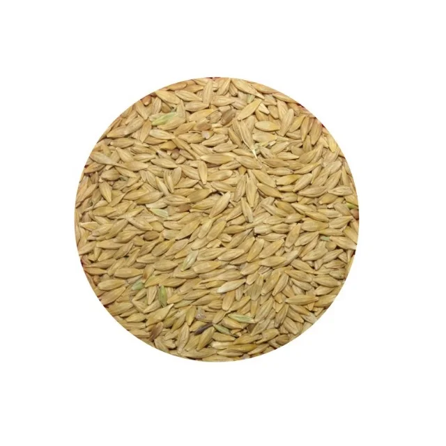 Новый урожай, высококачественное Ячменное Зерно оптом от казахского производителя, Лучшая цена, поставщик зерен ячменя