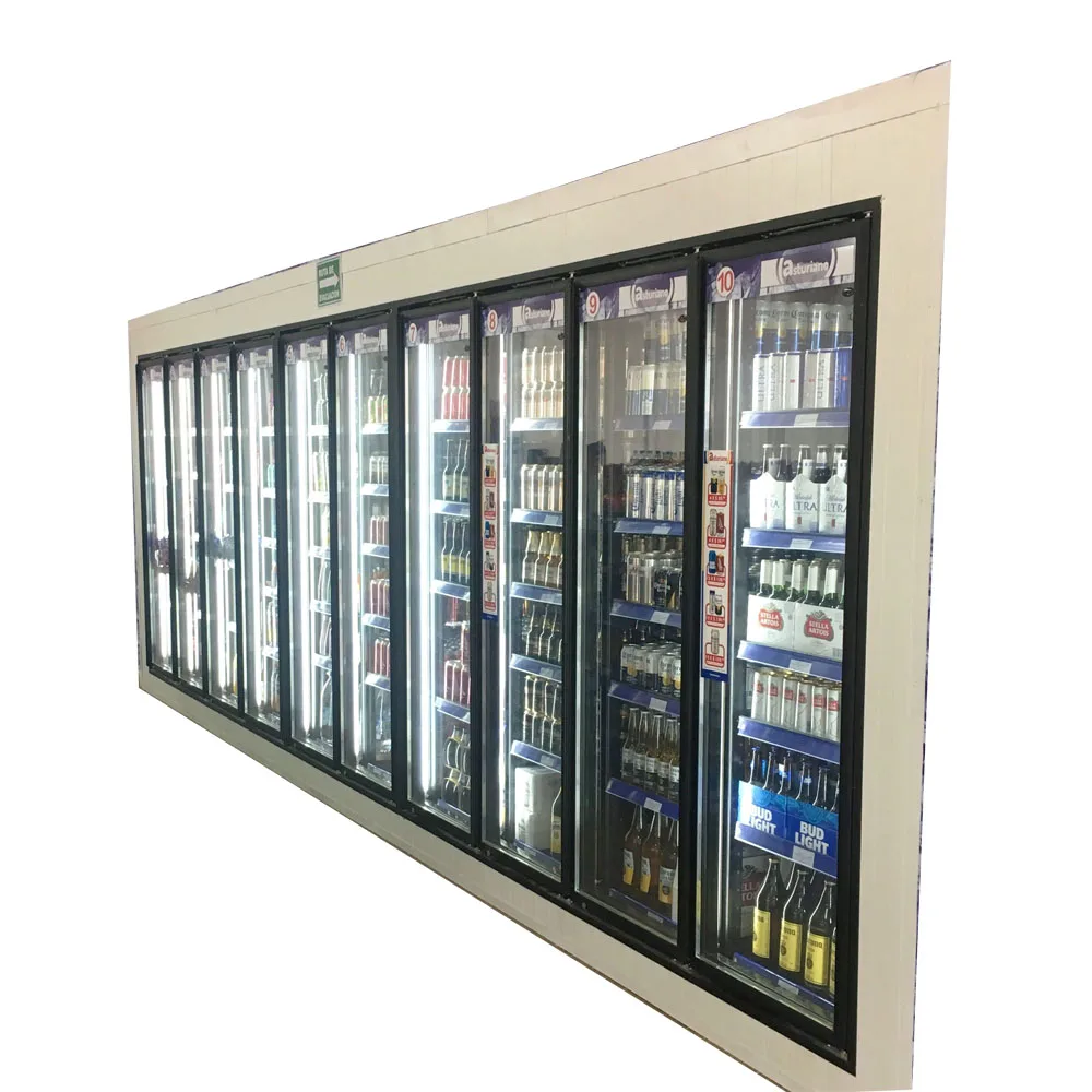 glass door Factory of frozen parts for supermarket fridge Fridge chiller cooler glass door & racks shelving refrigerator parts