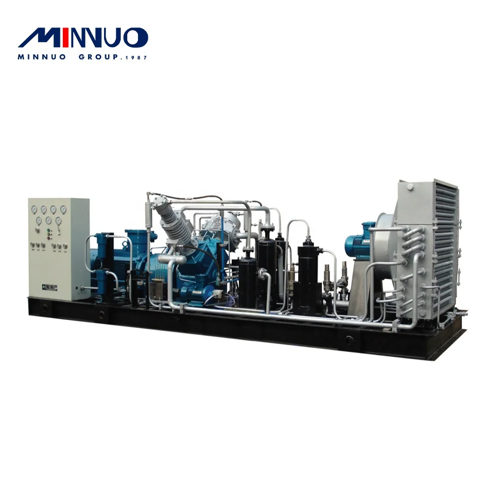 Minnuo 2022 energy saving home cng compressor 220V 50hz in China