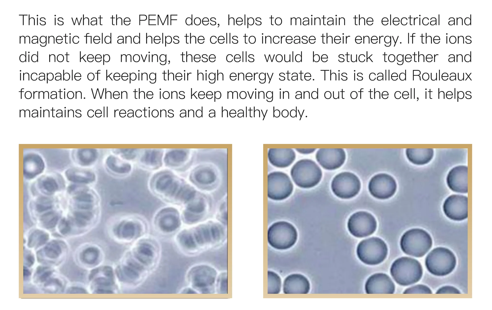 New PMST Equine Magnetic Therapy Machine PEMF Equine Physio Magneto Therapy For  Laminitis Replaceable Handles Machine