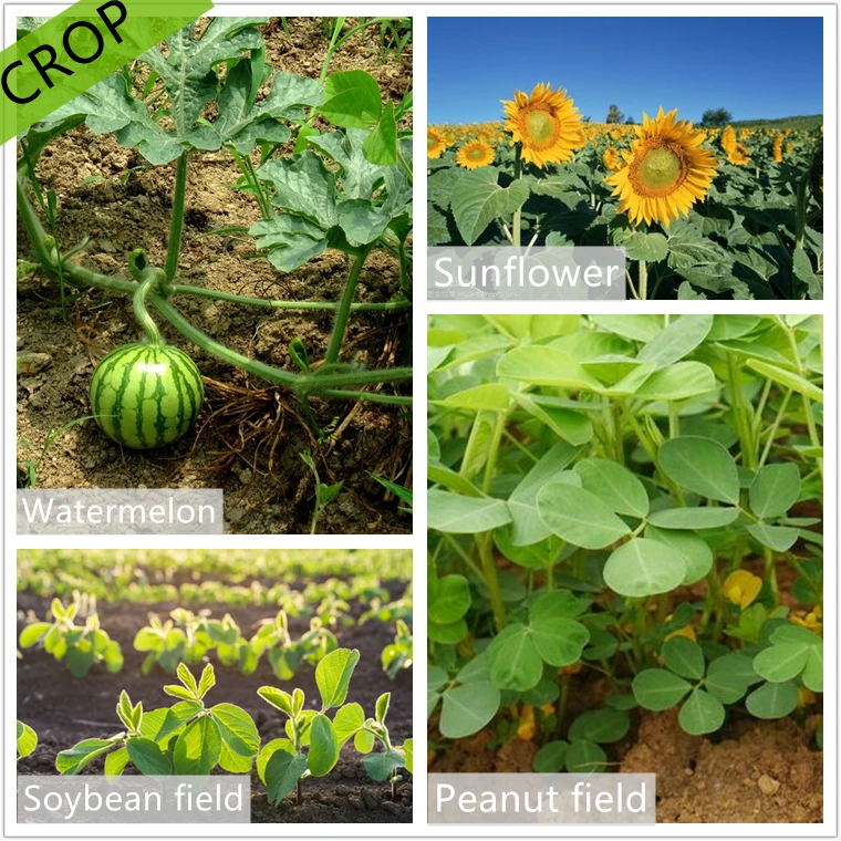 weed killer herbicide Haloxyfop-R-Methyl 10.8% EC, 108g/l  EC, Haloxyfop-R-Methyl 108g/l EC