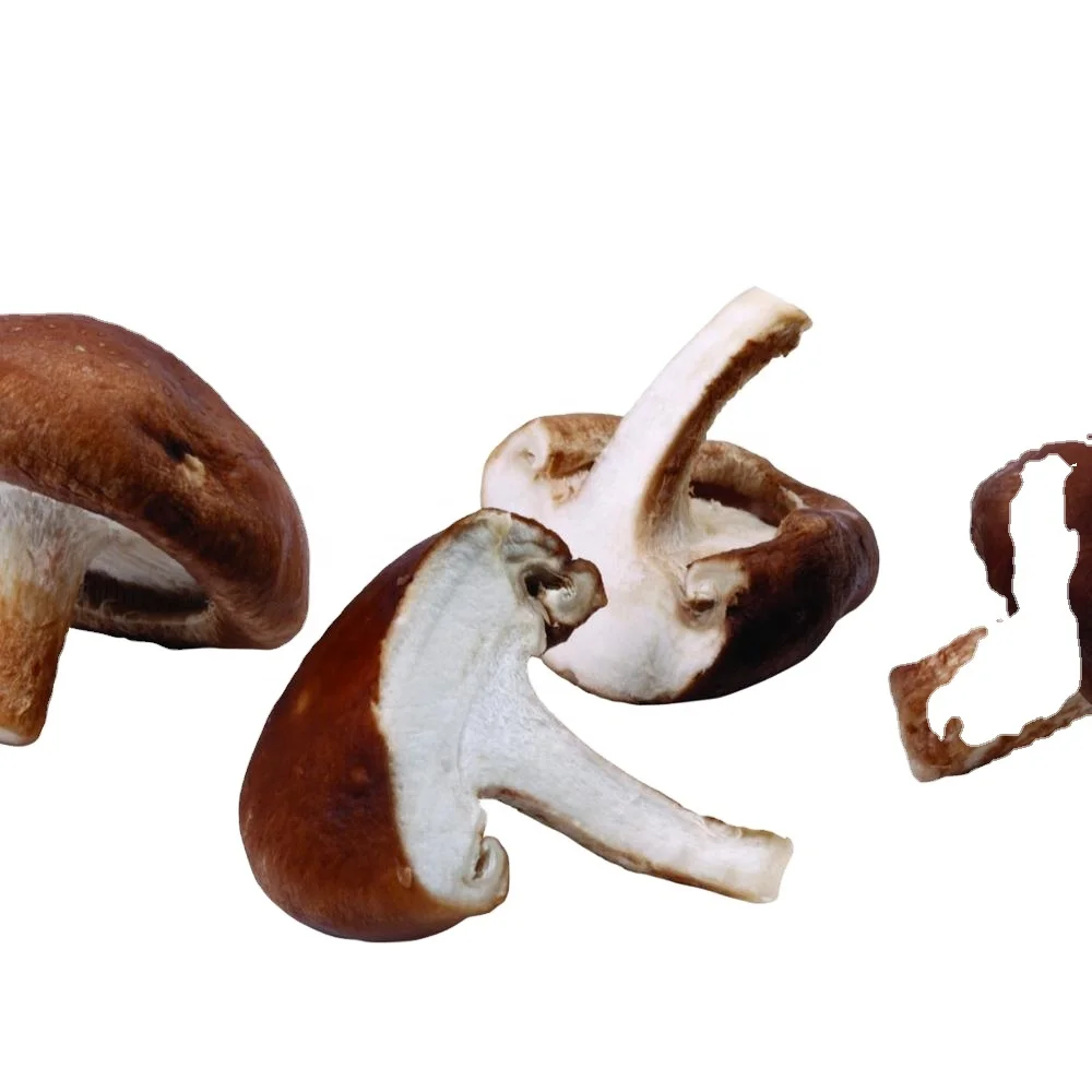 Farm Canned Shiitake Mushroom in Brine