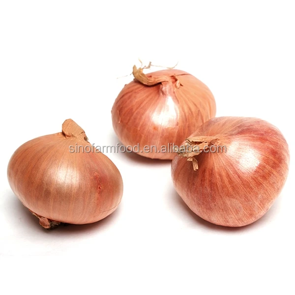 yellow onion price ton on fresh red onions for sale by onion suppliers