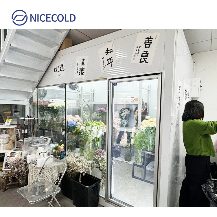 Hot Sale Glass Cold Room Display Walk In Cooler for Flower Florist