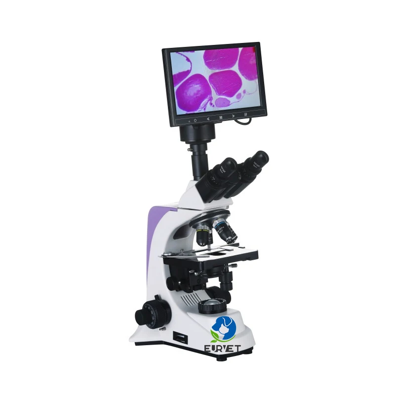 EUR PET  Factory Price Industrial Digital Scanning Electron Binocular Microscope With Lcd Screen Veterinary Equipment