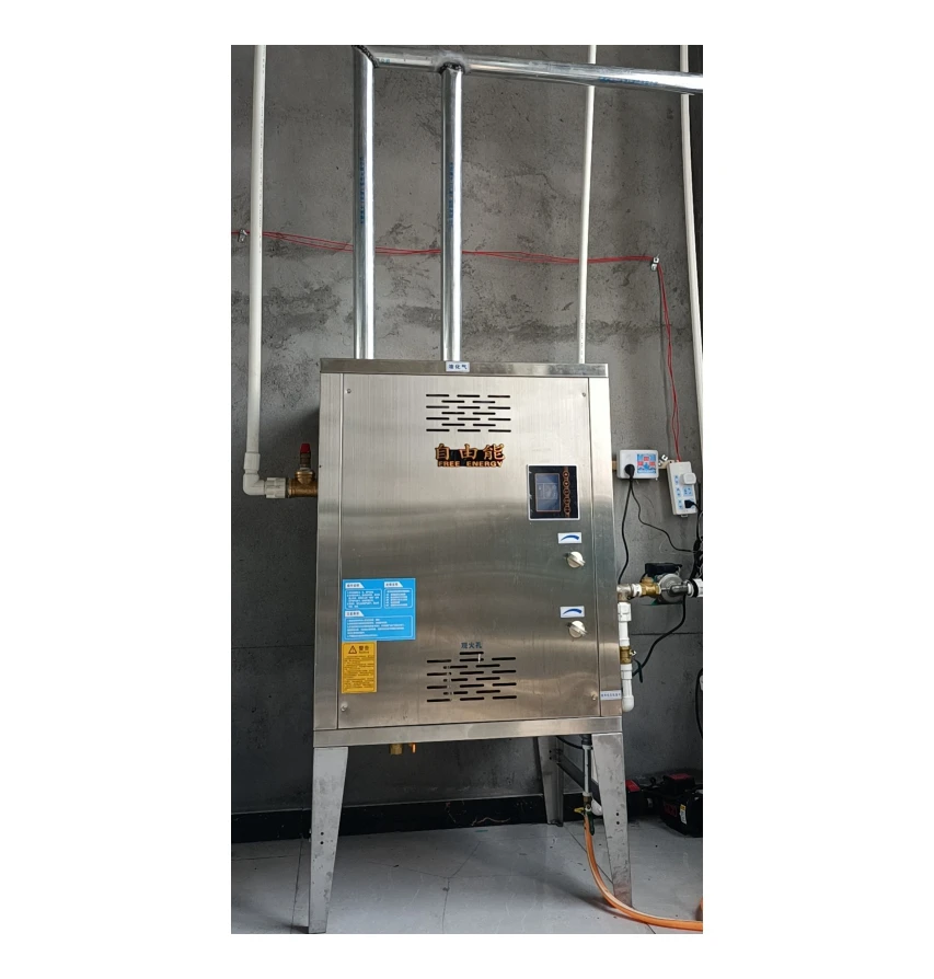 
Small Volume Manufacturers Gas Outdoor Water Heater Water Boiler Stainless Steel 