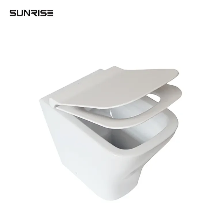 Custom One-Piece White Ceramic Toilet Seat with Shower Modern Design Chinese P-Trap Bathroom Size Back Wall Toilet