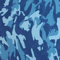 Free Sample  Breathable Soft Wicking Print Fabric Width 63' Weight 230 G  Nylon 75% Spandex 25% Knitted Nylon Spandex Fabric