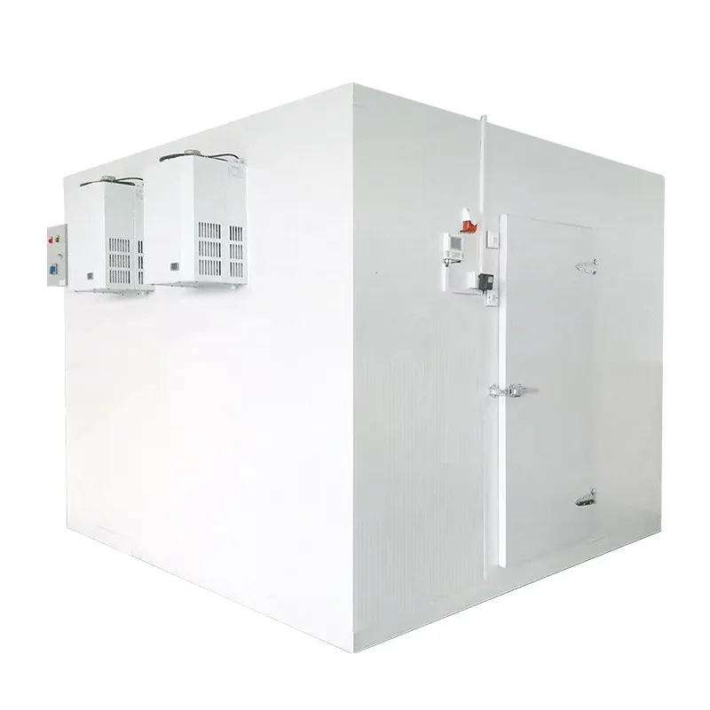 Hot sale Cold room Freezer Room hotel and restaurant for ice  block storage cold storage