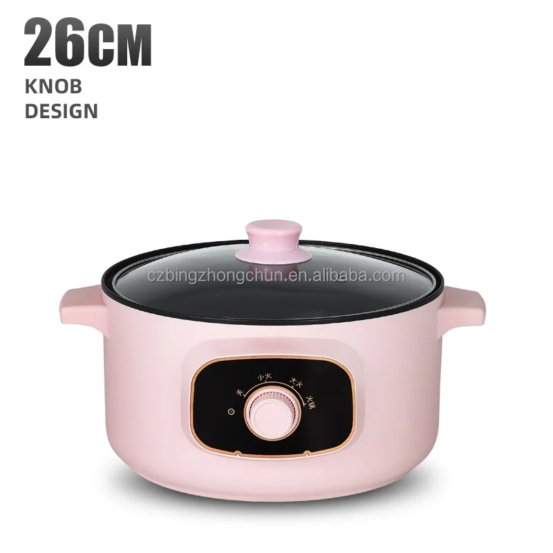 Multifunction Electric Cooker Skillet caldron Electric Hot Pot For Cook Fried Noodles Stew Soup Steamed Fish Boiled Egg