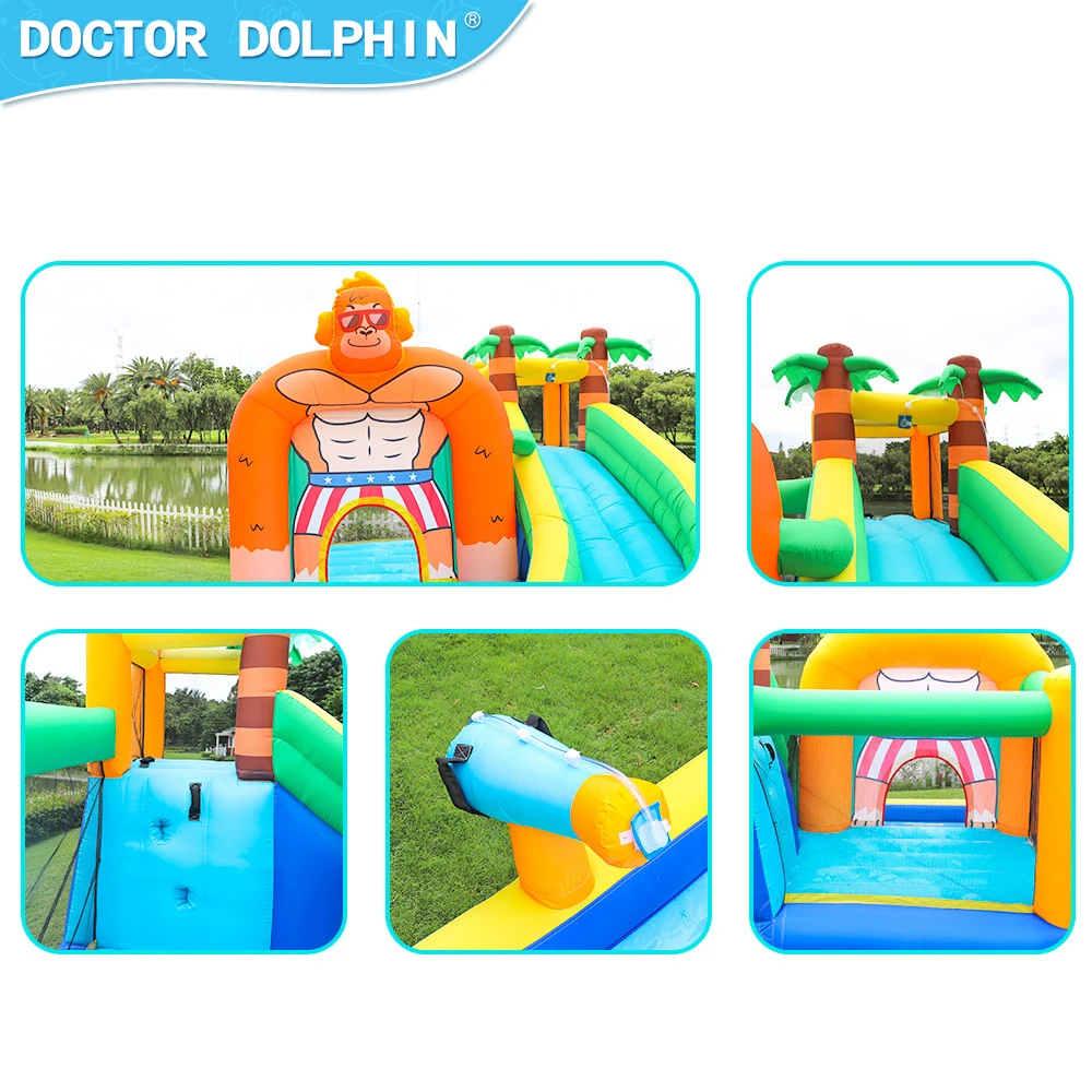 Doctor Dolphin Outdoor Inflatable Bouncy Castle Slide Pool With Slide Wholesales