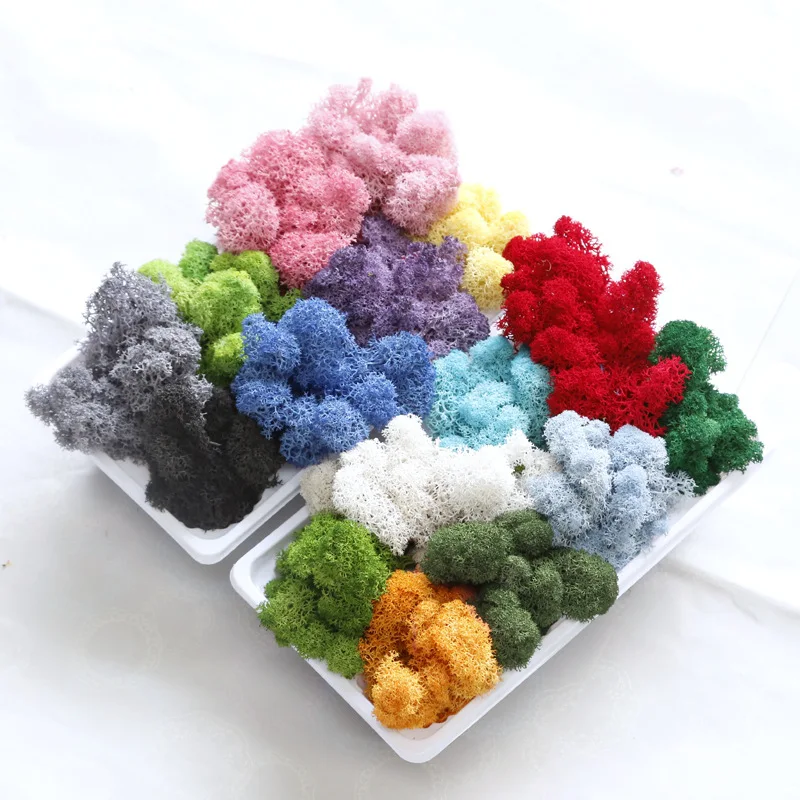 Wholesale Stabilized Preserved Lichen Reindeer Moss for Office Decoration Vertical Garden