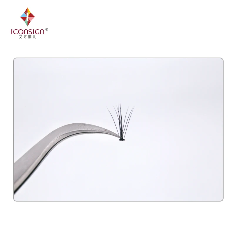 Wholesale 10d volume fans cluster 3d 6d pre made silk individual eyelashes private label custom for salon