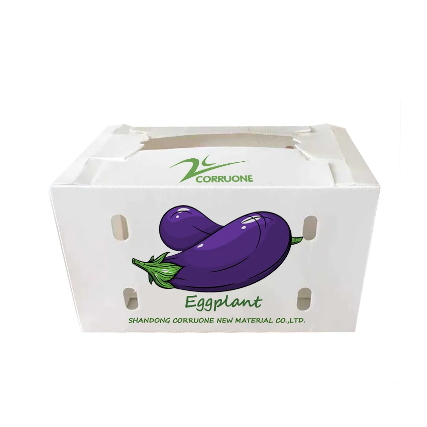 Corruone polypropylene  fruit  packaging pp corrugated plastic box Recycled plastic box
