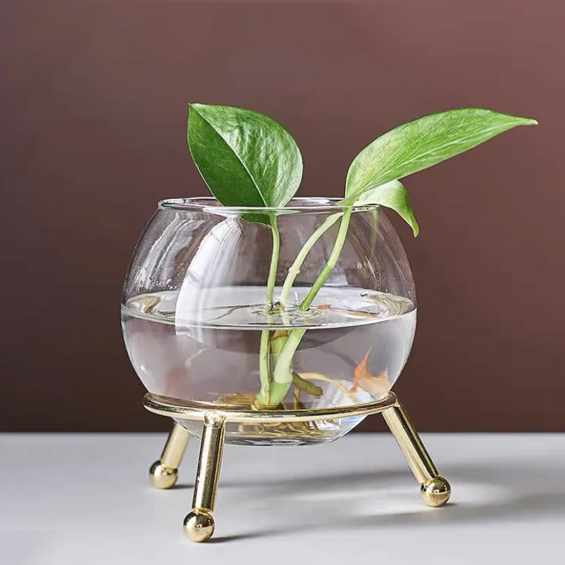 Minimalist Living Room Dining Table Gold Stand Plants Round Glass Vase Decoration Green Dill Glass Plant Holder Ware Modern