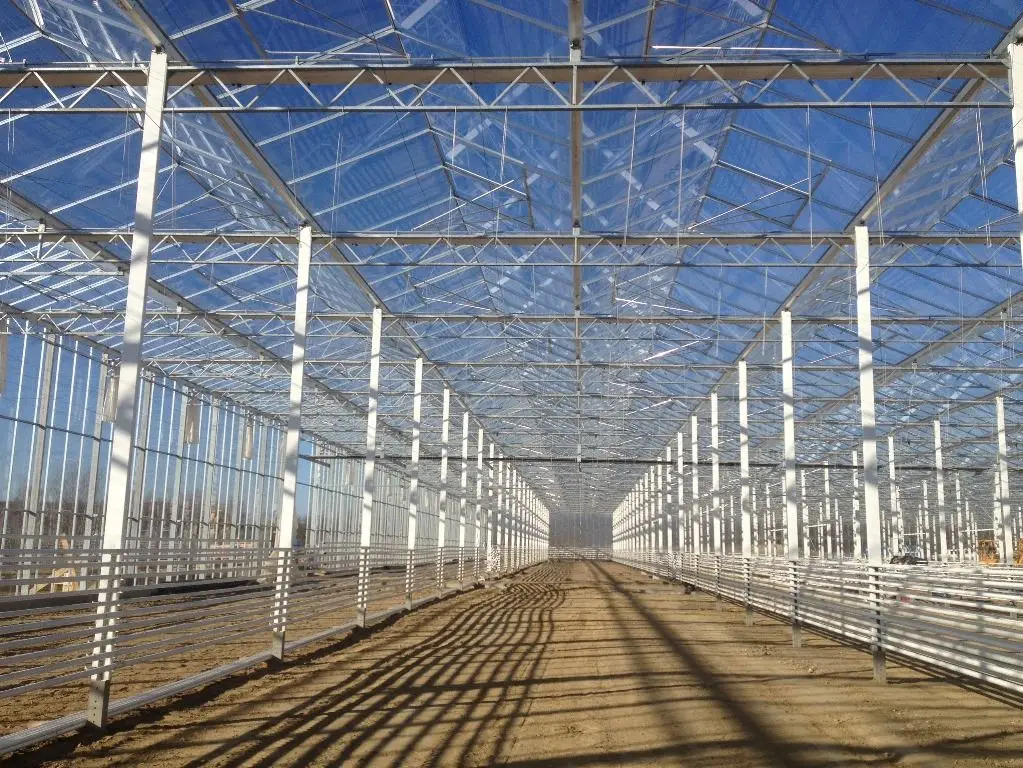 FUMA Low Cost Multi-span Agriculture Commercial Heating System Glass Greenhouse For Sale