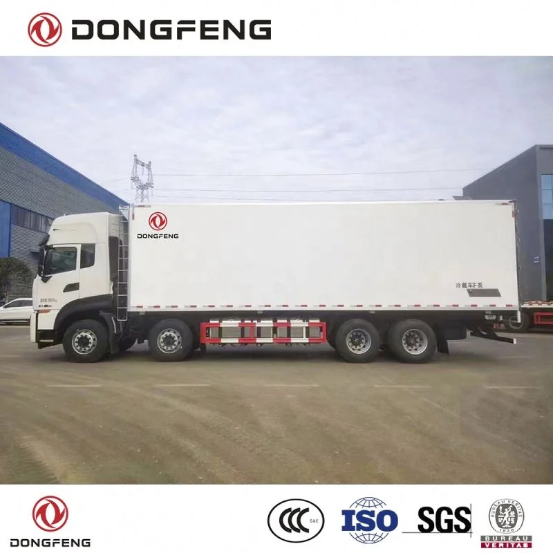 Dongfeng LHD and RHD delivery van prices frozen refrigerated truck body