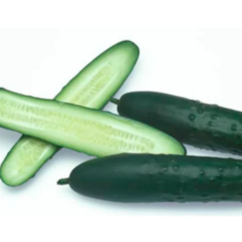 
Fresh Organic English Cucumber 
