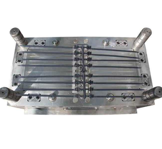 plastic nylon double head cable zip ties injection molding mould factory in mould city taizhou