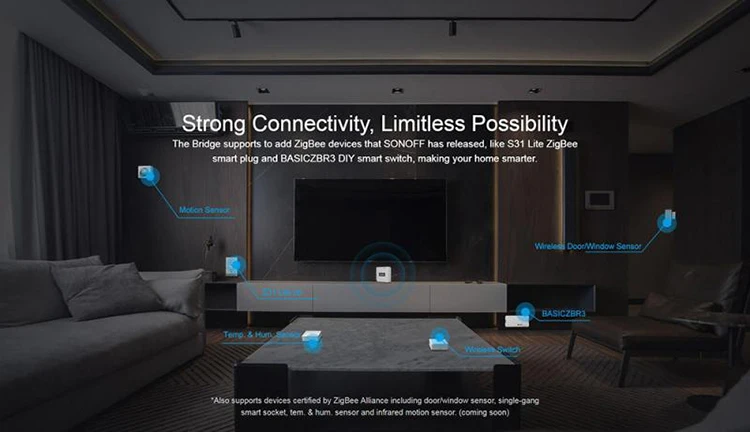 zigbee brdge 13