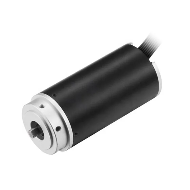 electrical tools  Hot sales bldc micro Replace Maxon Faulhaber dc motor high efficiency motor for robots Blower Fans
