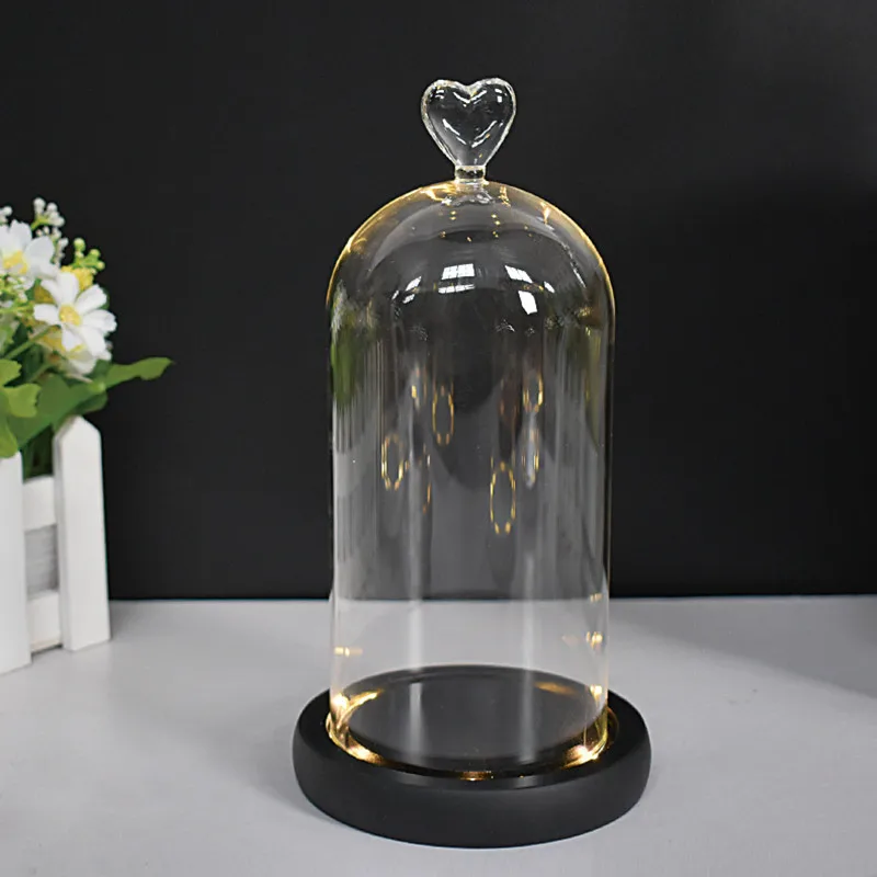 Clear Antique Round Cylinder Preserved Fresh Flower Glass Dome for Decoration with Cork Wooden Base