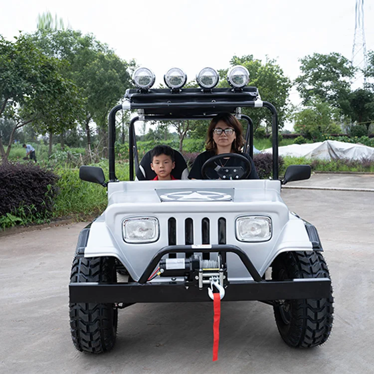  Китай горячая продажа бок о 4x4 электрическая Багги