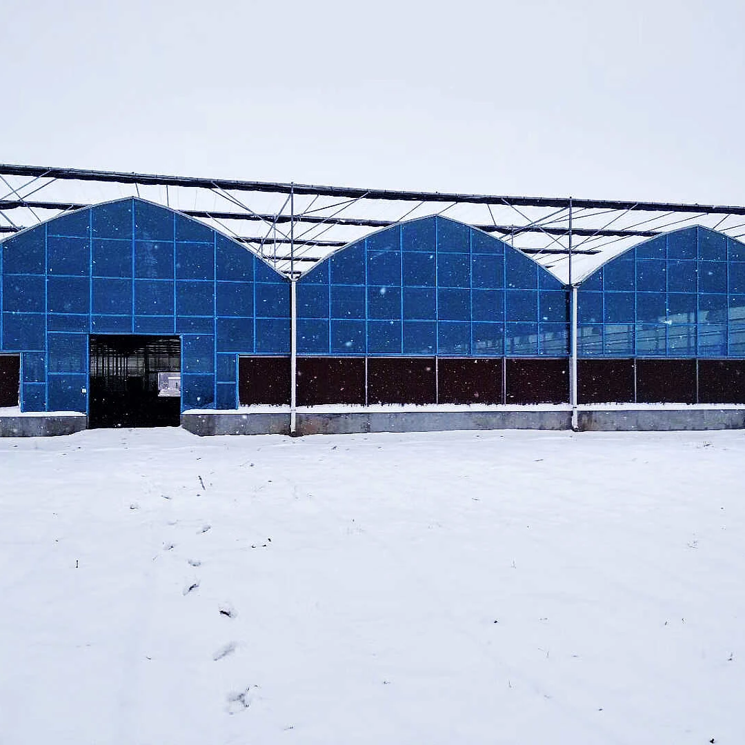 Multi-span venlo greenhouse hydroponic growing systems