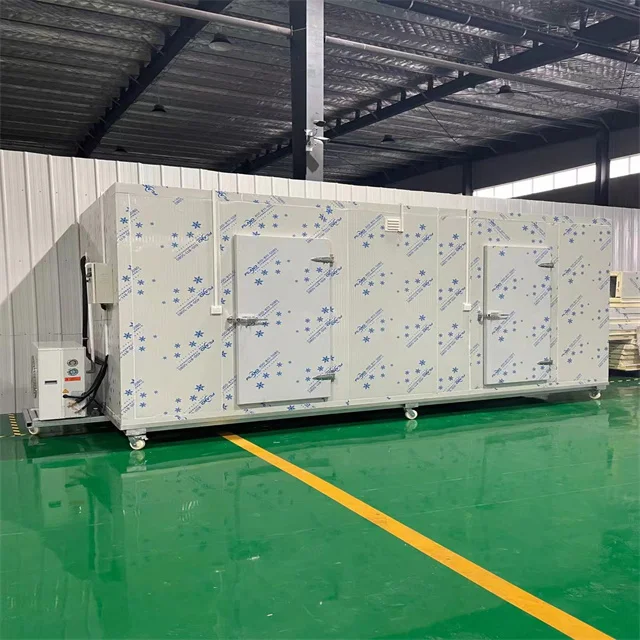 Walk in Freezers for Poultry, Chicken & Meat Cold Storage for Argentina Market