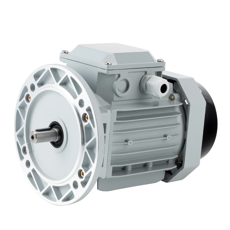 three phase electric motor