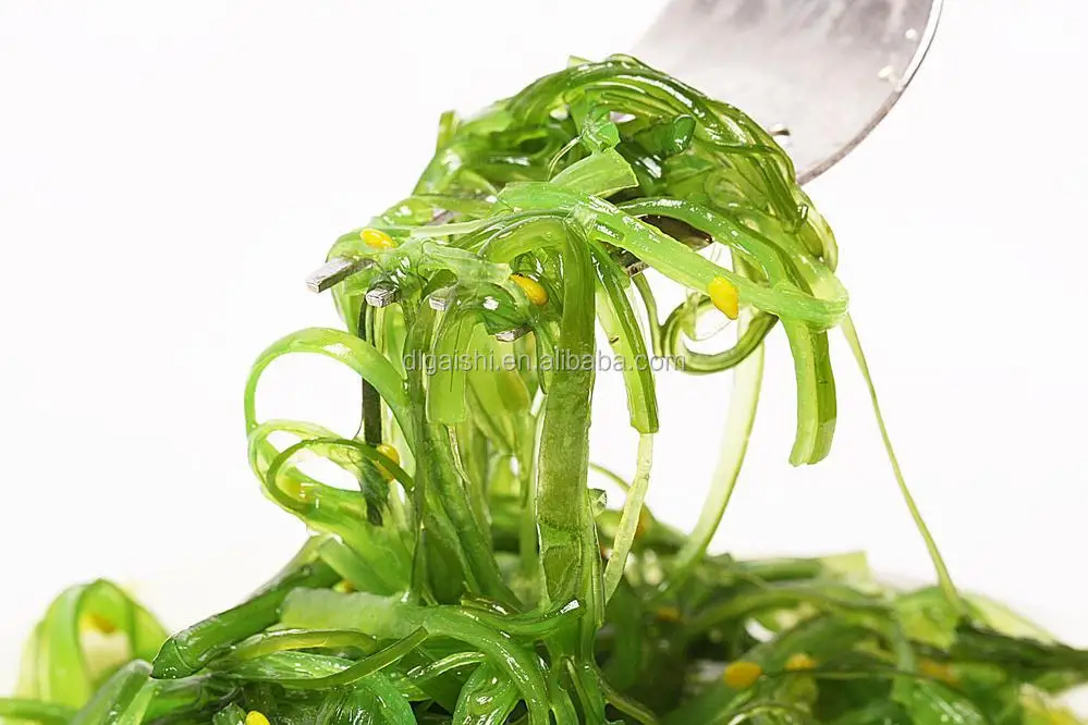 Best quality fresh wakame fresh wakame seaweed