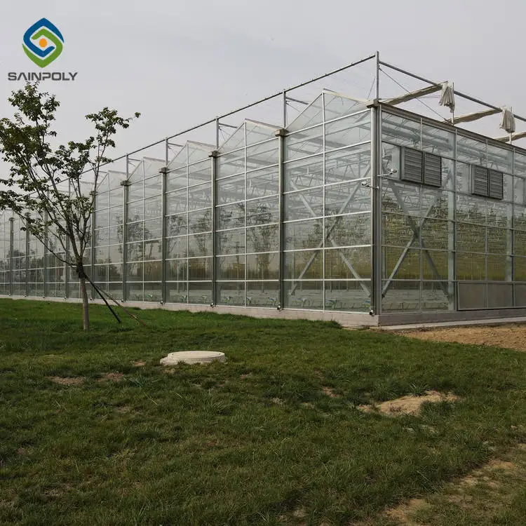 Hot Selling Large Size Sainpoly China Wholesale Glass Multi-Span Greenhouse High Quality and Affordable