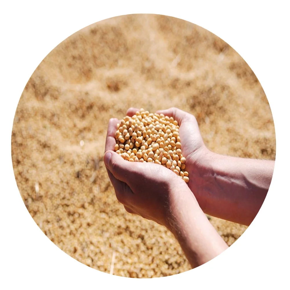soybean meal animal food soybean meal animal fish meal