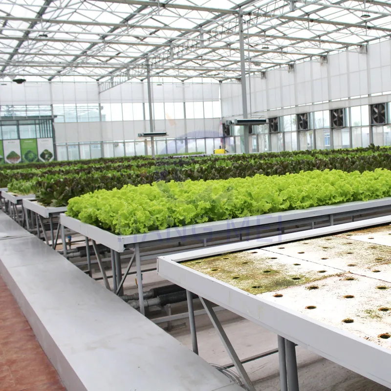 Aquaponic Farm вертикальные системы гидропоники теплица для теплиц с гидропонной системой
